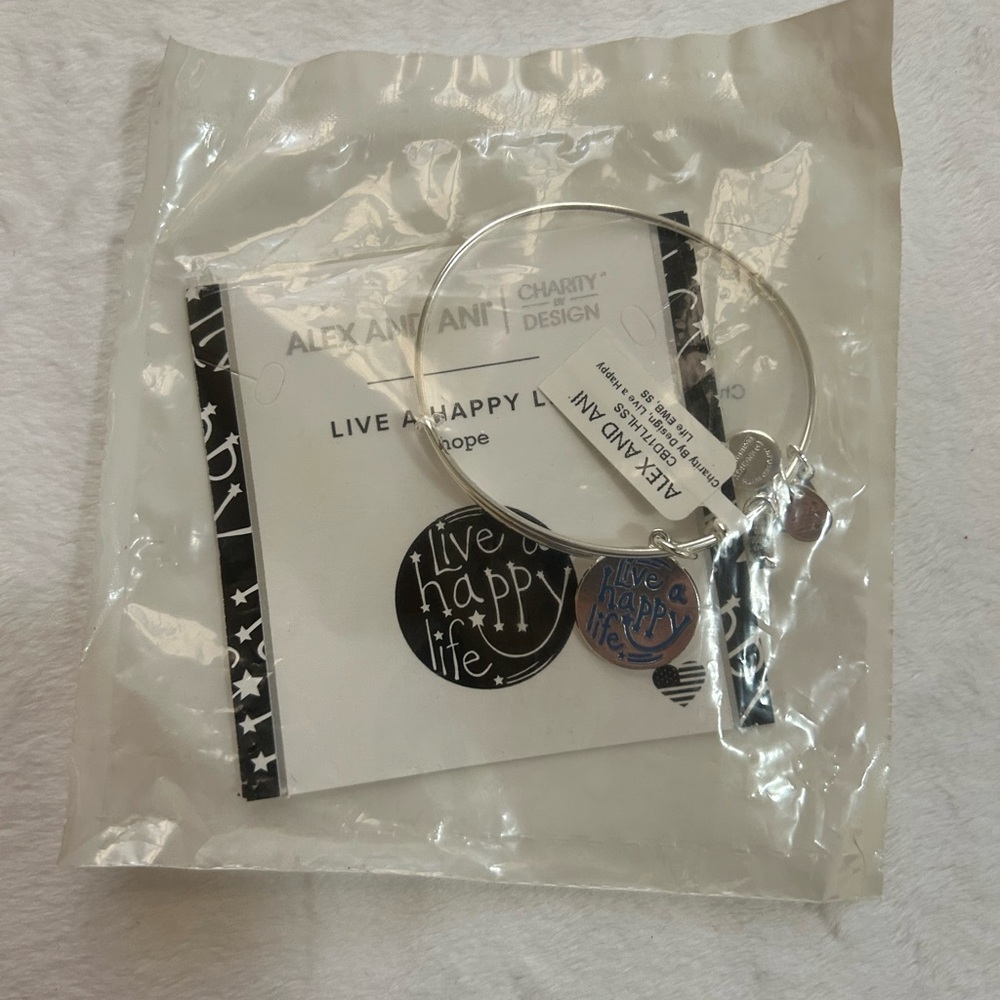Alex and Ani Silver Charm Bracelet